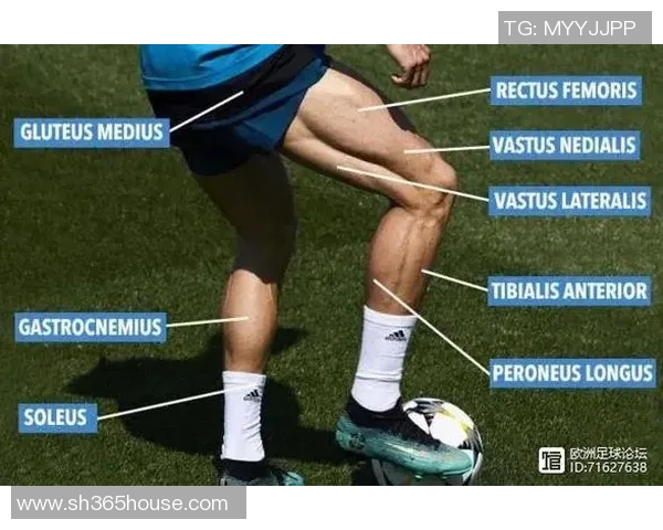 足球明星的身价为何如此惊人背后的秘密与市场分析 足球明星的身价为何如此惊人背后的秘密与市场分析