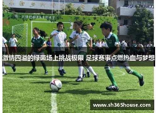 激情四溢的绿茵场上挑战极限 足球赛事点燃热血与梦想
