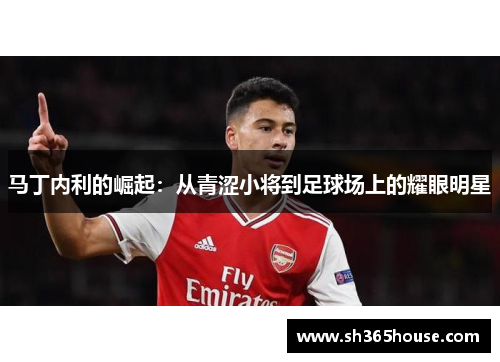 马丁内利的崛起：从青涩小将到足球场上的耀眼明星