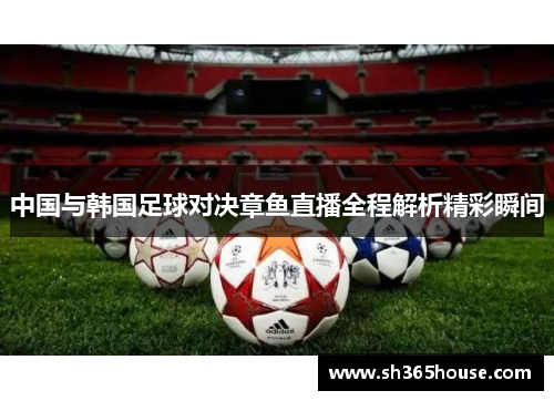 中国与韩国足球对决章鱼直播全程解析精彩瞬间