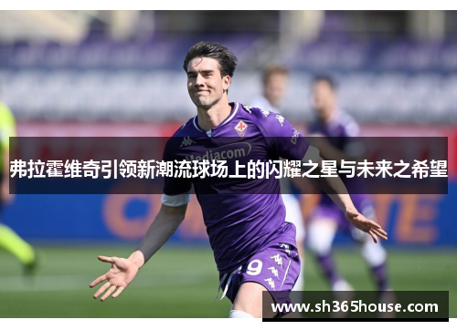 弗拉霍维奇引领新潮流球场上的闪耀之星与未来之希望